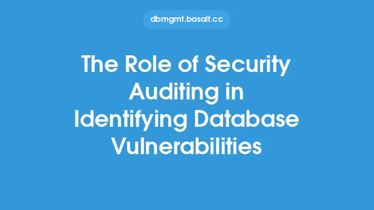 The Role of Security Auditing in Identifying Database Vulnerabilities Thumbnail